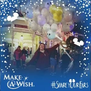 Meet your Posher, Allie